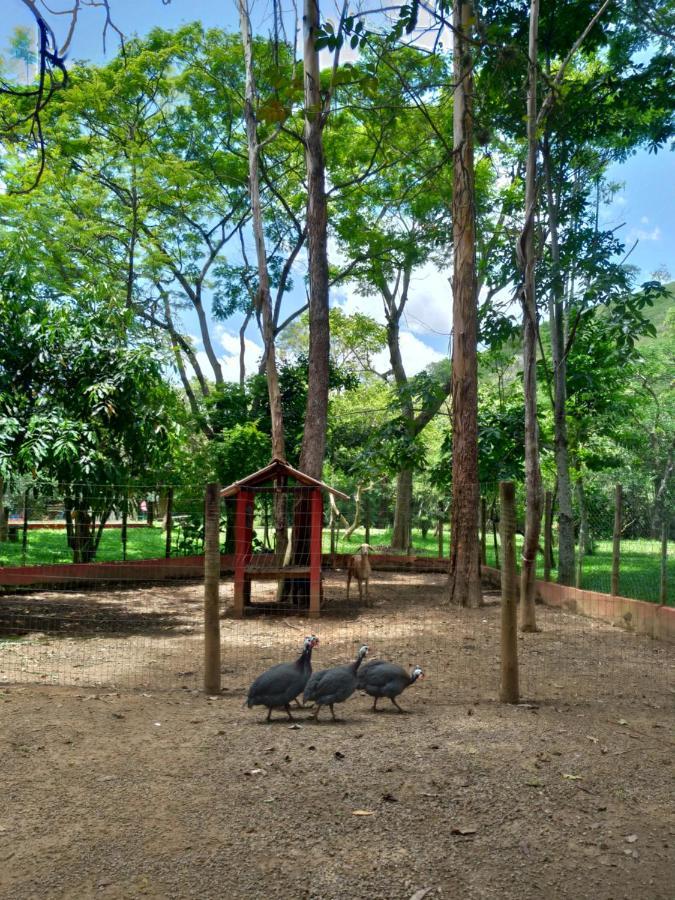 Sarandy Hotel Eco Parque Параіба-ду-Сул Екстер'єр фото